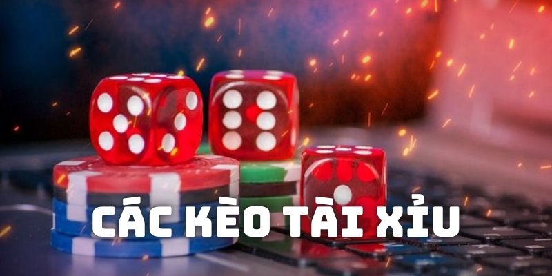 Các kèo phổ biến, được yêu thích nhất trong game tài xỉu online